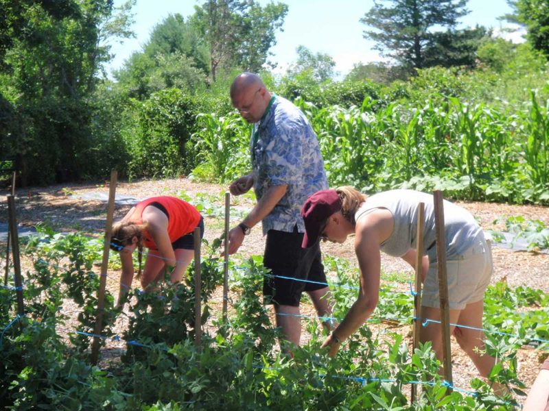 Environmental education jobs cape cod
