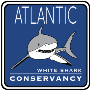 Atlantic White Shark Conservancy Logo