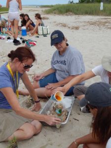 Cape Cod 8