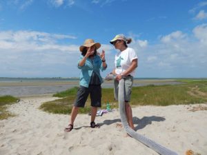 Cape Cod 9